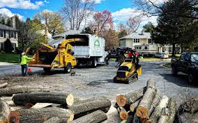 Best Tree and Shrub Care  in Rm Beach, WA